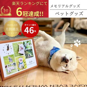 y@ybg@I[_[Ch@ʐ^@ybgObY@ʔv@ybg AObYzʐ^莞v@Ov.com A4^ Vv^fUC ꎞv@Mtg u