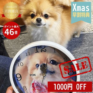 SALE 1000~Ityꎞv ybg ʐ^ ybgObY@hV̓@ʔv ybg AObYzʐ^莞v@Ov.com ی^ 20cmfUC ꎞv@Mtg@|v