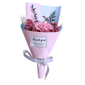 \[vt[ԑMtgBOXt ̓  搶 蕨 \[vt[ ͂Ȃ t[\[v \[vt[ ԑ  av[g j Mtg ސE ʉ \ 