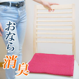 【送料無料】おならマット［33cm x 64cm］IBS過敏性腸症候群対策｜おなら消臭｜