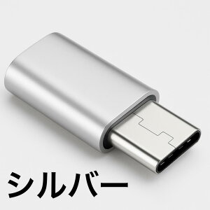 y|Cg10{Iz֗2_ZbgFCgjO to USB-C ϊ A_v^ - ApplefoCXUSB-C|[gŏ[d\ɁILightning to Type-C RlN^ŁAVvŌIȏ[d\[V
