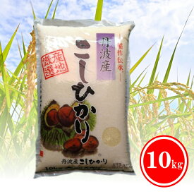 送料無料 丹波産こしひかり10kg コシヒカリ 大自然豊かな丹波篠山の源泉したお米です 地域特産品