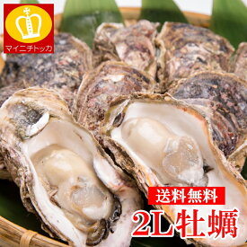 特大2Lサイズ 冷凍むき身牡蠣1kg (NET850) 業務用 送料無料 加熱用 メガ盛り カキフライ 鍋 牡蠣 かき