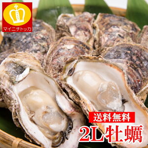 2LTCY Ⓚނgy1kg (NET850) Ɩp  Mp K JLtC  y 