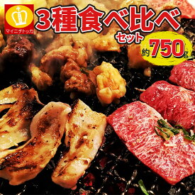 新発売！選べる焼肉3種セット 750g ハラミ カルビ ホルモン2種（大腸・小腸） 楽天1位 タレ漬け 送料無料 BBQ 肉セット 焼肉 キャンプ 大容量 小分け 冷凍 やきにく バーベキュー 食べ比べ 焼肉セット 牛肉 食材 焼き肉 パーティ 大勢 5人前 大容量