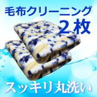 毛布クリーニング　2枚　宅配　オプションで保管・除菌抗菌加工・防ダニ加工有 ダブルサイズまでOK【送料…
