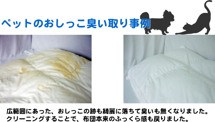 楽天市場 猫 犬のおしっこの臭い取り専用 羽毛布団クリーニング 1枚 送料無料 消臭 黄ばみ取り 羽毛布団 丸洗い 北海道 沖縄 離島除く オンダクリーニング