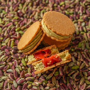 "100~N[|zz"ue@sX^`I䕃L̃o^[Thi4jsX^`I  L Mtg  蕨 َq Ăَq v[g