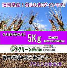 楽天市場 大麦 コレステロールの通販