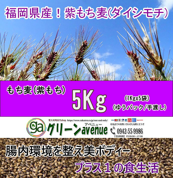 楽天市場 もち麦ごはん 紫もち麦 国産 ヘルシー 美味しい 雑穀米 大麦 5kg 送料無料 モチ麦 むらさき もち麦 九州産 ダイシモチ 麦飯 コレステロール低減 血糖値低下 メタボ対策 低カロリー 内臓脂肪減少 糖尿病予防 便秘改善 体質改善 食物繊維 グリーンavenue