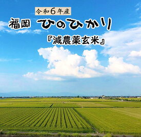 【在庫限り販売 数量限定 売り切り 玄米 安価 】セール 令和6年産 ひのひかり 古米 5キロ 2024年産 ヒノヒカリ激安 減農薬玄米 5Kgx1個 おすすめ 送料無料 福岡県産 産地直送 特A 銘柄米 1等米 単一原料米100% 国産米 お買い得 驚安 格安 まとめ買い やすい米 生活応援米