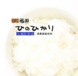 在庫少なくなってます【白米5Kg セール】古米 2024年産 お米 安価 5Kg ひのひかり 白米 5キロ 令和6年 減農薬米 送料無料 福岡県産 産地直送 ヒノヒカリ こしひかり系 美味しい ヘルシー 厳選 小分け 小袋 生活応援米 精米仕立て 新鮮 驚安 おすすめ 人気 売れ筋 安いお米