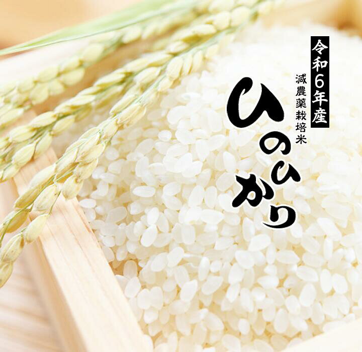 楽天市場】【最短出荷2〜3営業日】ひのひかり 白米 2024年産 10Kg こめ 