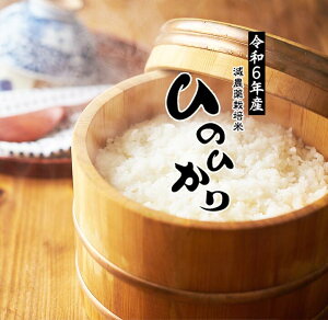 c菭Ȃ߁yЂ̂Ђ Ďd z  2024NY  5Kg  5L ߘa6N _  Y Yi qmqJ  wV[ I     Mtg VN 