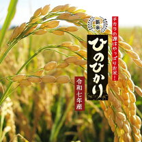楽天市場】【令和7年産】兵庫県産 ヒノヒカリ 30kg 玄米 ひのひかり 米 