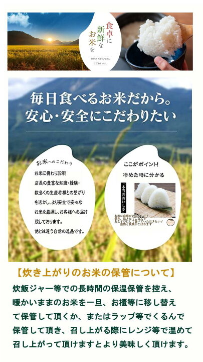 楽天市場】【新米 すぐ発送 玄米 10Kg ひのひかり 】令和7年産 