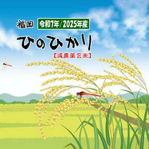 【新米 令和7年産 ひのひかり 玄米 10キロ】 売れてる人気の米 2025年産 ヒノヒカリ こしひかり系 令和7年 玄米 すぐ発送 おすすめ 10Kg お米 1等米 特a げんまい 小袋 送料無料 福岡県産 産地直