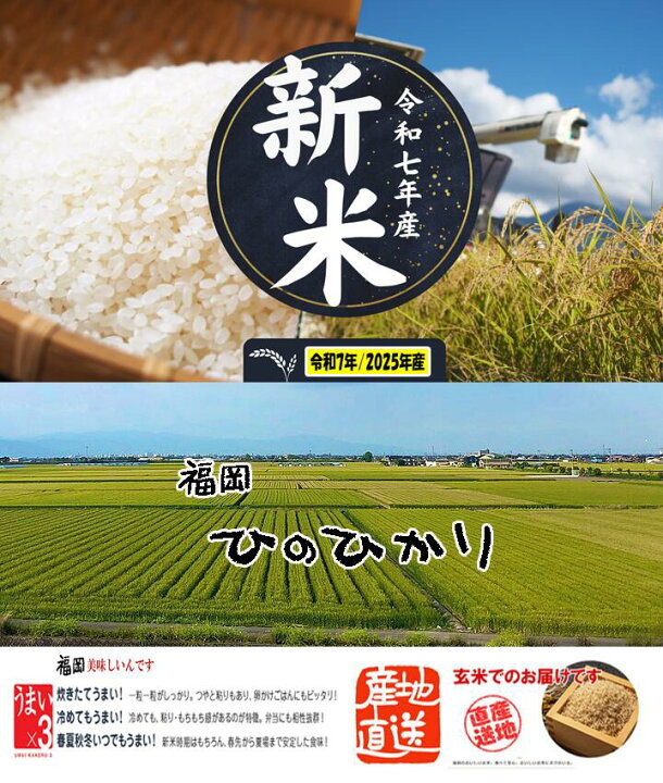 楽天市場】【新米 すぐ発送 玄米 5Kg ひのひかり 】令和7年産 