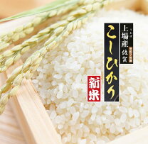 楽天市場】佐賀県産 こしひかり 新米 10キロの通販