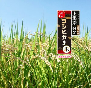 yV   ߘa7NY Ђz 2025NY RVqJ  ʌ 5Kg(5Kgx1) ܂Ƃߔ Ic n uh 5L  lC  1 a  