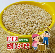 もち米 玄米 5キロ 令和7年産 餅米 九州 佐賀県産 新米 ヒヨクモチ 減農薬米 モチ米 2025年産 1等米 減農…