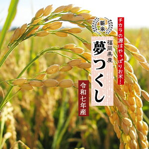 yV  ߘa7N z2025NY 20Kg 10Kgx2  ߂  _  Y VN { Y A  1 I uh 20L ܂Ƃߔ i 