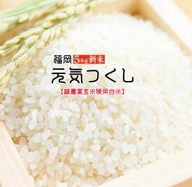 【予約割引 バースデー割引 最大10%OFF】元気つくし 新米 10Kg 令和5年産 げんきつくし 高級 白米 精米 仕立て 無洗米 送料無料 福岡県産 産直 プレミアム 美味しい お米 うまい オススメ 厳選 九州産 特a 銘柄米 2023年産 10キロ 新鮮 搗きたて 人気 高級 ブランド米