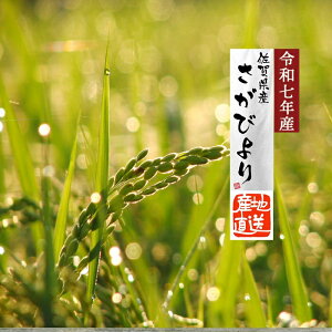 �y�V�� �ߘa7�N�Y ���� �����т�� �z 2025�N�Y ����т�� ���_��͔|�� 5Kg �������� ���ꌧ�Y�� �ō��� �u�����h�� �嗱 �P�ꌴ����100% �Y�n���� �������� ���ꂢ ���Y�i ��a 1���� �l�C ����