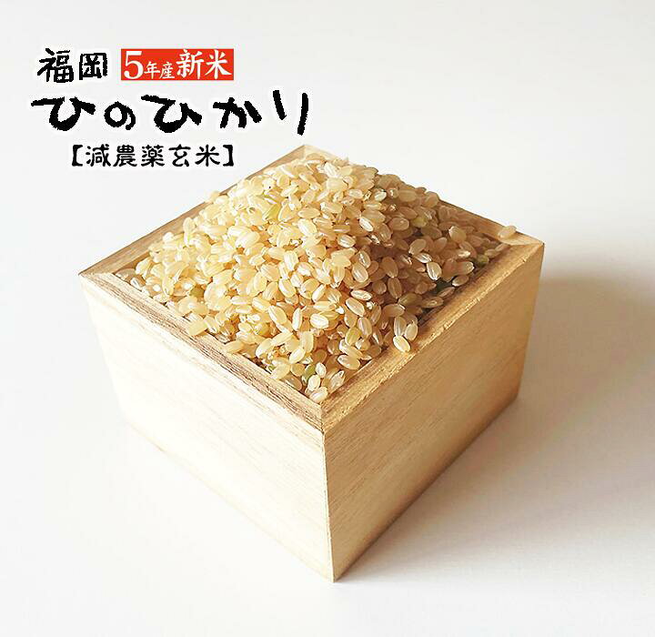 楽天市場】ひのひかり 2023年産 令和5年 新米 搗きたて 白米 20Kg 精米  