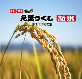 【令和5年産新米 10kg 特a】厳選 元気つくし 玄米 新鮮 きれい おすすめ 2023年産 10キロ 送料無料 福岡県産 最高級 ブランド米 減農薬 特産品 美味しい 人気 売れ筋 定期便 グルメ ギフト お歳暮 贈答品 健康食 鉄分豊富 ギャバ効果 免疫力アップ 生活習慣病予防 体質改善