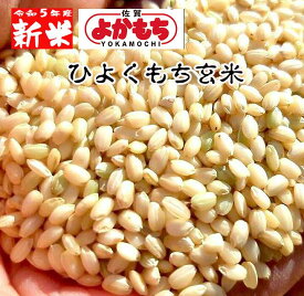 餅米 もち米 玄米 10Kg 2023年産 新米 令和5年産 九州 佐賀県産 ヒヨクモチ 減農薬栽培 モチ米 1等米 特別栽培 ひよくもち 10キロ 新鮮 旬 おすすめ 人気 セール グルメ ギフト 特産品 産地直送 もち玄米 お正月餠 おこわ 雑煮もち 業務用 送料無料 ヘルシー