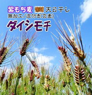 無農薬 国産もち麦 1Kg 紫もち麦 有機栽培 1キロ 令和6年産 無加工 玄麦 皮付き 話題 おすすめ 天日干し …