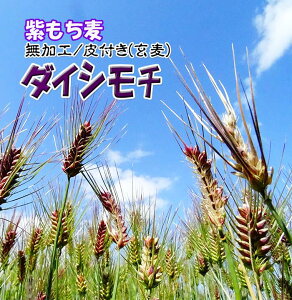 _  1Kg  L@͔| 1L ߘa6NY    ` ނ炳 c_[ BY V _CV` 2024N ͂ Y H  t 