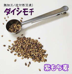 _  c_[ wV[ 唞 3Kg  ߘa6N 2024NY `  H 1Kgx3 ނ炳 Y BY _CV` V ͂ H  t 