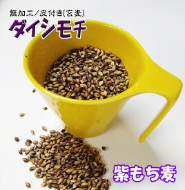 紫もち麦 5Kg (1Kgx5) 天日干し もちむぎ 令和6年産 2024年産 無農薬 玄麦 皮つき 無加工 もち麦ごはん ヘルシー 美味しい 九州産 自然栽培 雑穀米 国産 モチ麦 大麦 残留農薬ゼロ 送料無料 産地直送 特産品 むらさき麦 ダイシモチ 低カロリー チャック付き小袋入り