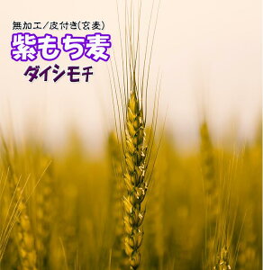  t V  ͂ BY 1Kg 唞  ͂   ` _ c_0 ނ炳 ߘa6NY Y _CV` L@͔|  1L 2024NY 