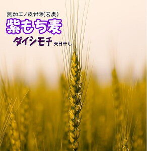 Y  3Kg _ wV[ VN { G 唞  ߘa56N 2024NY NEW ނ炳 t BY _CV` V ͂ H  `bNt