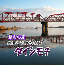 NEW もち麦 10Kg 令和5年 紫もち麦 2023年産 ヘルシー 雑穀 大麦 1Kgx10個 送料無料 モチ麦 むらさきもち麦 新鮮 自然食品 人気 おすすめ 話題 特産品 国産 九州産 ダイシモチ 無農薬 残留農薬ゼロ 麦ごはん プチプチ 糖尿病予防 便秘 体質改善 食物繊維 内臓脂肪減少