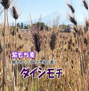 _ ނ ߘa6N  3Kg (1Kgx3) t 2024N ͂  V Y  VN {  RHi 唞 ߂ ` ʍ͔| c_[ ނ炳 