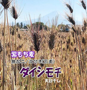 Y ߘa6N  H  t J[ V RHi `bNtܓ 2024NY wV[ G 唞 10L (1Kgx10)  ` ނ炳 lC 