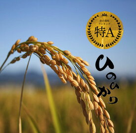 【新米 令和5年 10kg 特a】 ひのひかり 玄米 げんまい 新鮮 きれい 1等米 2023年産 送料無料 福岡県産 特産品 産地直送 ヒノヒカリ 美味しい 単一原料米100% コシヒカリ系 特別栽培 減農薬米 おすすめ 人気 売れ筋 健康食 ライス ヘルシー お買い得 驚安 割引特典あり