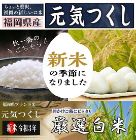 楽天市場 元気つくし 10キロの通販