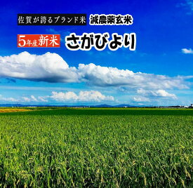 【 新米 令和5年 玄米 おすすめ さがびより】 2023年産米 10Kg 送料無料 佐賀県産 最高級 ブランド米 新鮮 大粒 厳選 産直 佐賀びより 10キロ 美味しい うまい 銘柄米 特産品 旬 単一原料100% げんまい 1等米 特a 人気 売れ筋 特別栽培 有機 減農薬米 送料無料 ギフト