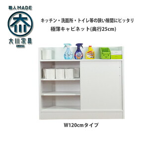 食器棚 完成品 鏡面 収納家具 収納用品の通販 価格比較 価格 Com