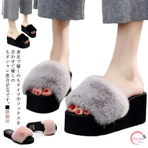 Xbp fB[X T_ t@[ t@[T_   킢 ~ g   q[ ؂ sN GR [g tbgT_  V[Y 22.5-25cm 
