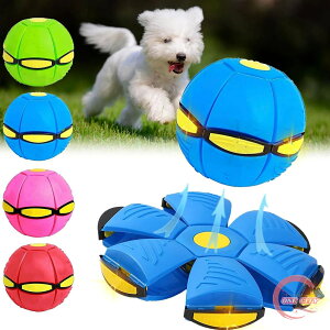  {[  tXr[ ό`{[ ԉ~Ճ{[ tCOfBXN{[ 2Zbg ybg ߋ ό`{[ tXr[  ^s ϊ e͐ VRS N