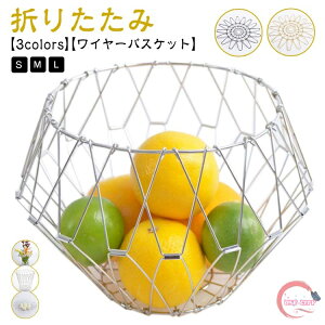 t[coXPbg ό` XeXoXPbg ʕ C[oXPbg C[{E ܂肽 oXPbg t[c{E ωɕxގ[ fBXvC ԕr ی^ t[c