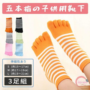 y3gzq C qpܖ{w\bNX LbY V[g\bNX  j̎q ̎q X|[c\bNX WjA 5{w {[_[  g    ӂӂ C 