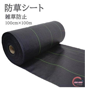 y500~OFFzIWi hV[g 100cm×100m Ռ̂ŁAhʔQB(hV[g Gh~V[g V[g   G΍ _Ǝ K[fjO ƒ؉ nEX h~