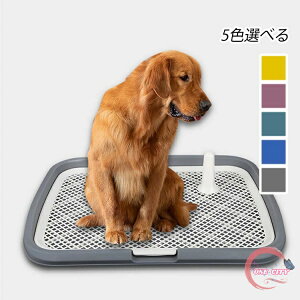  gCg[  gC   gCg[ ђ˖h~ Xebv  gCg[jO pgC{bNX O 65*50*6cm